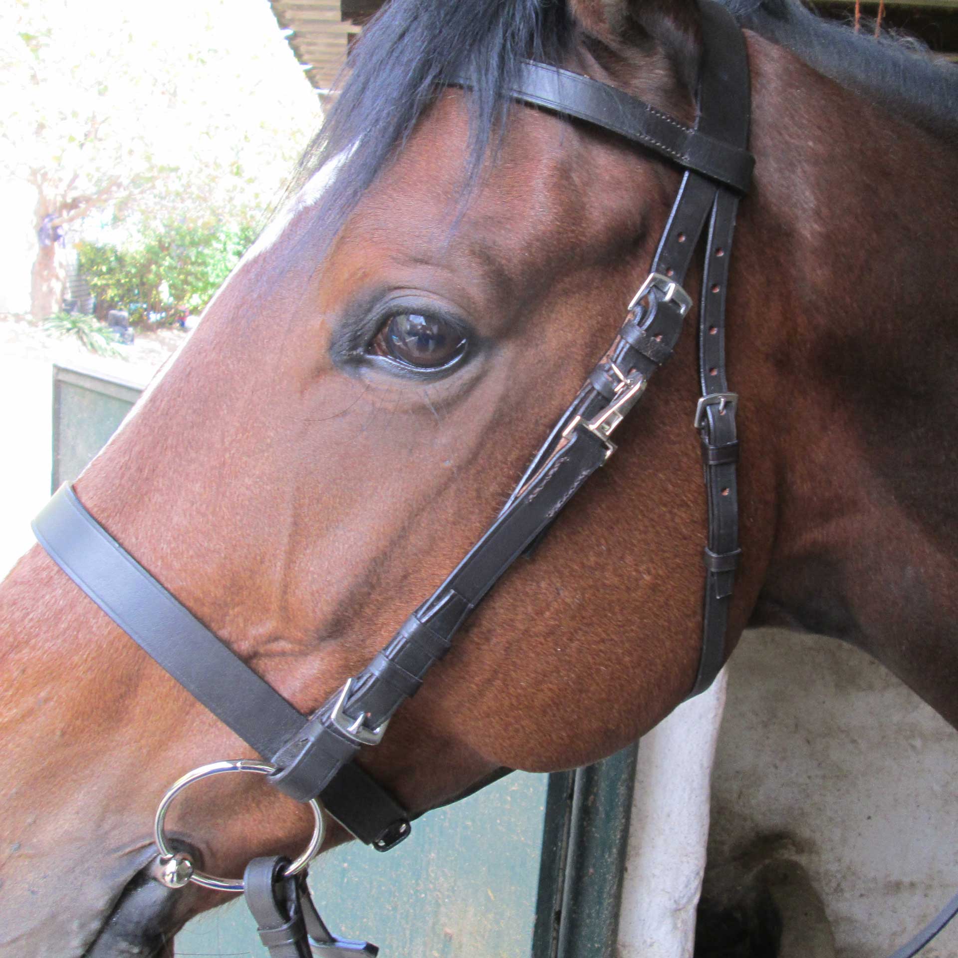 Bridle Endurance Leather Solo